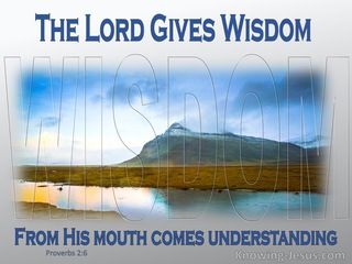 Proverbs 2:6 The Lord Gives Wisdom (blue)